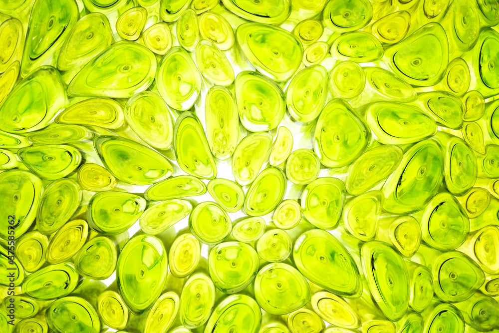 Top 5 Skincare Trends of 2025: Why Stem Cells Are Taking Over