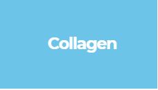 collagen is in the skin mostly in younger skin
