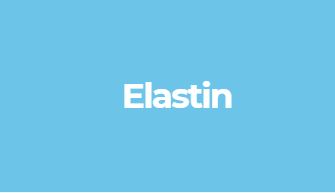 elastin bovine by wikipedia