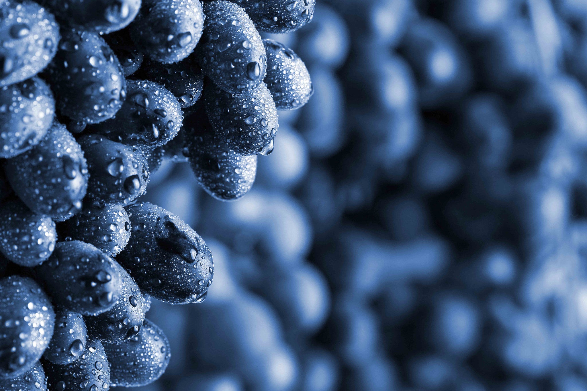 Fruit Stem Cells in Skincare Explained